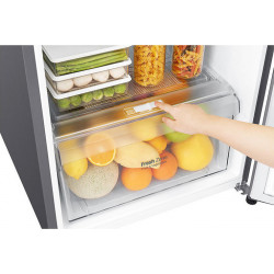 Ψυγείο Δίπορτο LG GTB362PZCZD NoFrost Inox (272Lt) Ψυγεία δίπορτα